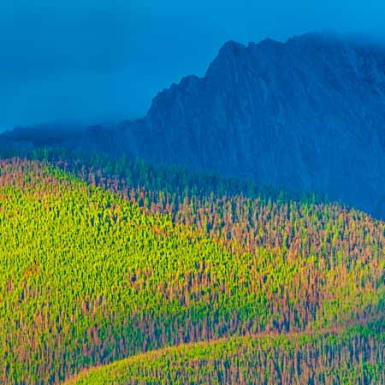 Biodiversity vaults onto the G7 agenda